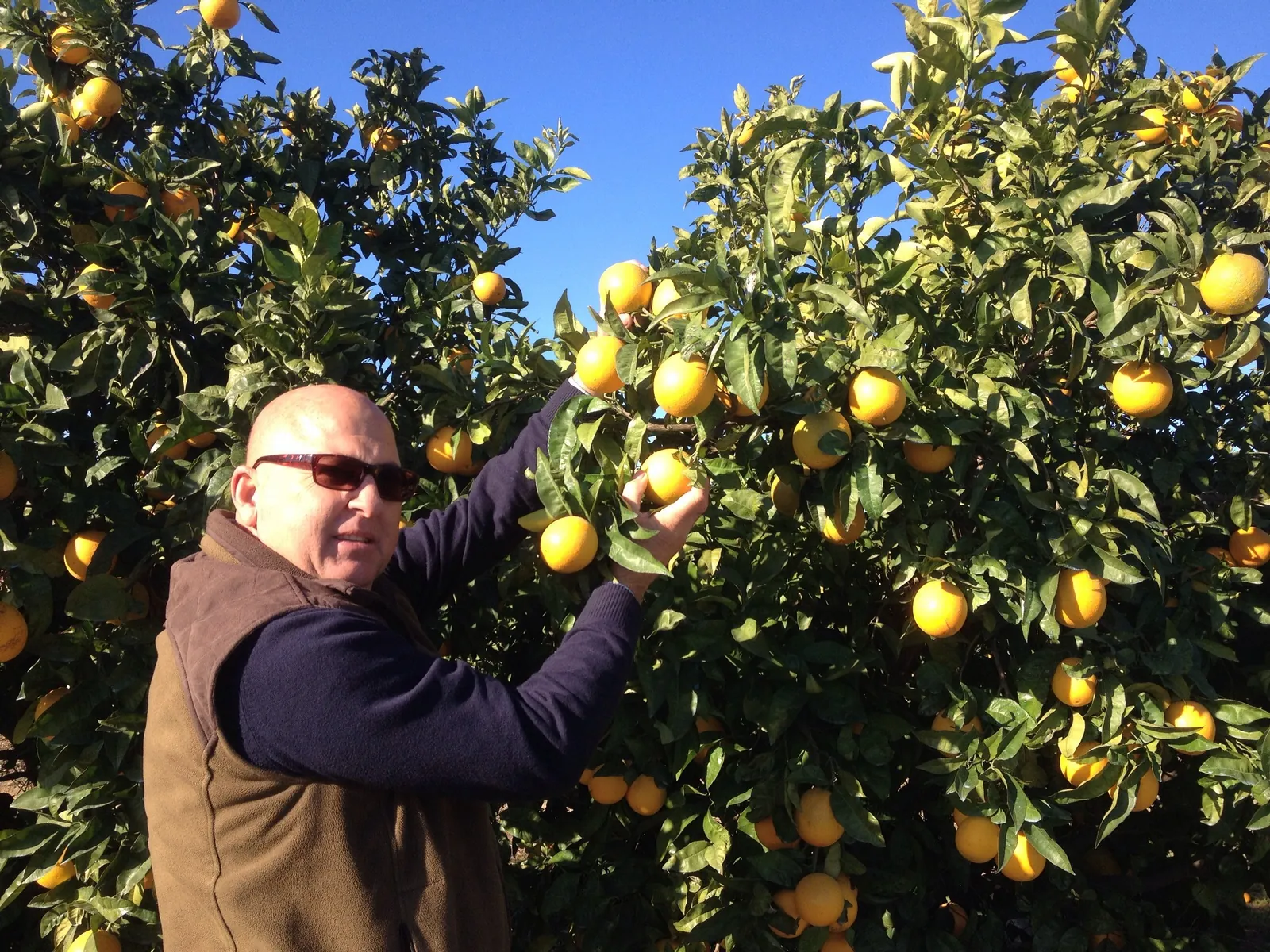 Agricultores utilizando productos Orgánicos Sangonera
