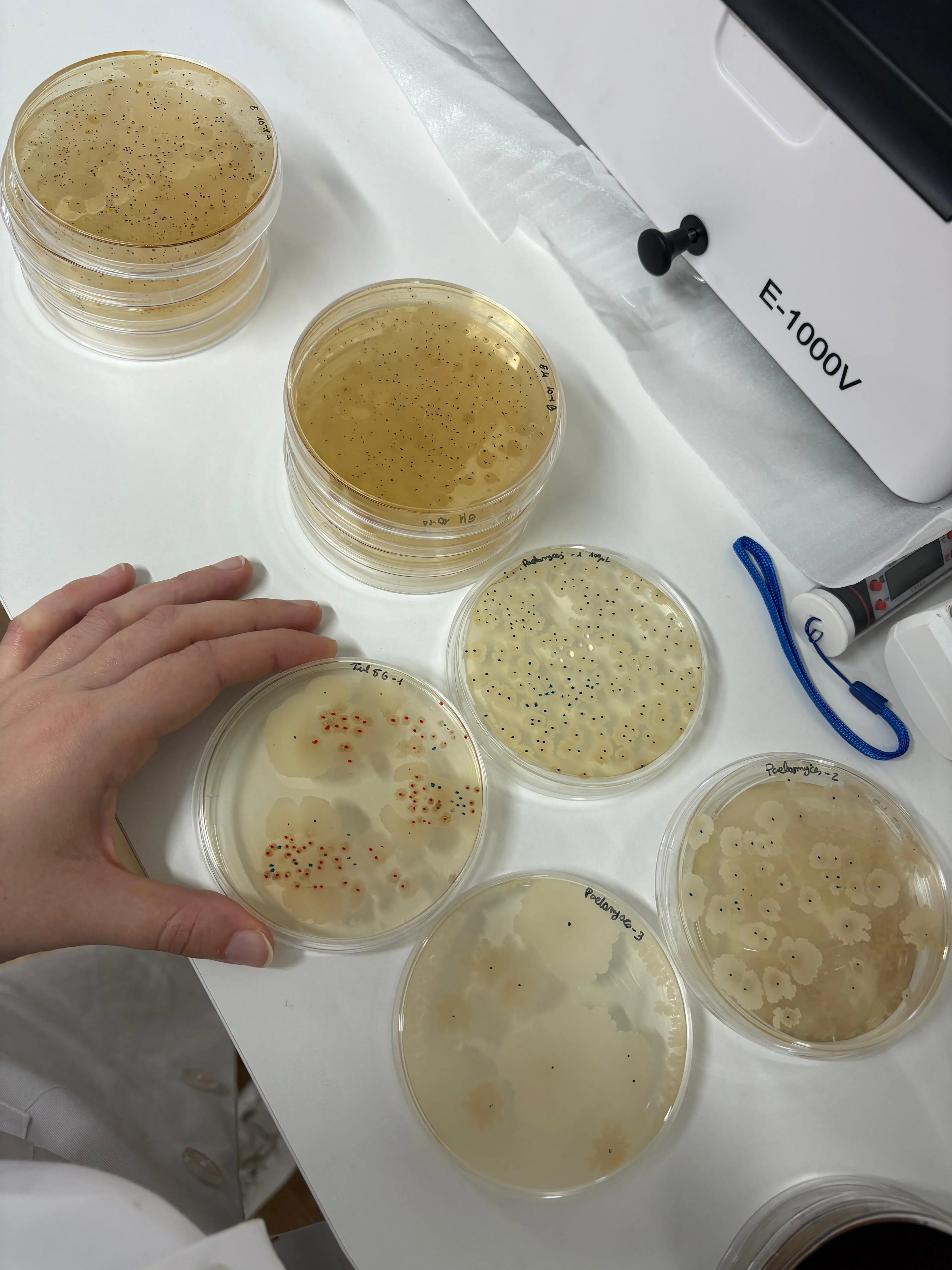 Equipo de investigación en el laboratorio