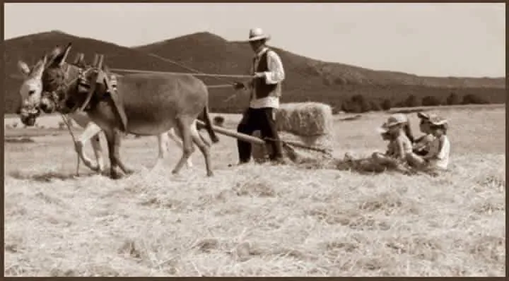 Familia de Antonio trabajando la tierra