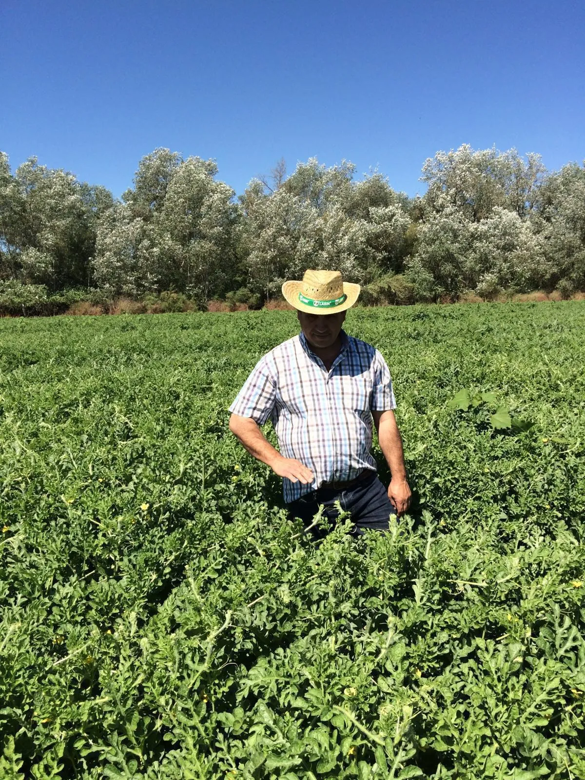 Agricultura